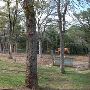 Hyatt Regency Lost Pines Resort and Spa - Renegade Equestrian Center