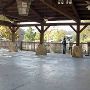 Hyatt Regency Lost Pines Resort & Spa