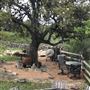 Stone Home Ranch
