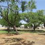 Miles City Park