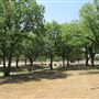 Miles City Park