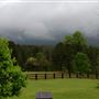 Scottsville Property