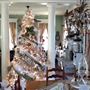 Scottsville Property