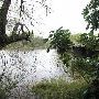 Sabal Palm Sanctuary