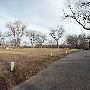 Max Starke Park