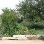San Antonio Botanical Garden