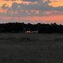 Shirttail Creek Farm