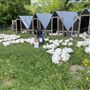 Shirttail Creek Farm