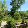 Clark Gardens Botanical Park