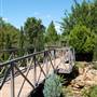 Clark Gardens Botanical Park