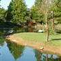 Clark Gardens Botanical Park