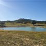 Kestrel Ranch