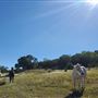 Kestrel Ranch