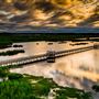 Cattail Marsh Scenic Wetlands & Boardwalk