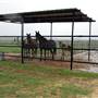Two Wishes Ranch