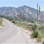 Big Bend National Park - Chisos Mountain Basin