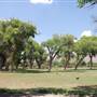 Big Bend National Park - Rio Grande Village