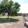 Big Bend National Park - Rio Grande Village