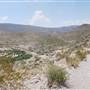 Big Bend National Park - Boquillas Canyon