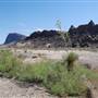 Horseback Riding Trails
