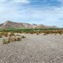River Road - FM 170