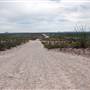 FM 169 to Casa Piedras
