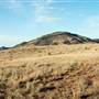 CF Ranch