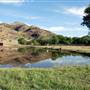 CF Ranch