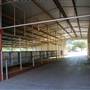 CF Ranch