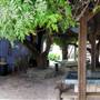Dixie Dude Ranch