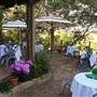 Cedars on the Brazos Bed & Breakfast