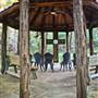 Cedars on the Brazos Bed & Breakfast