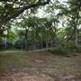 Cedars on the Brazos Bed & Breakfast