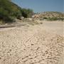Terrain West of Terlingua