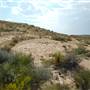 Big Bend Ranch State Park - Barton Warnock Environmental Education Center