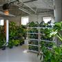 Eden Plant Co.