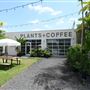 Eden Plant Co.
