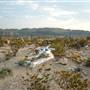 Terlingua Ghost Town