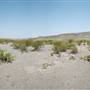 Big Bend Ranch State Park - Vista del Bofecillos
