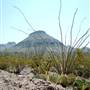 Big Bend Ranch State Park - Cuevas Amarillas
