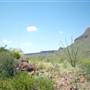 Big Bend Ranch State Park - Agua Adentro