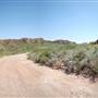 Big Bend Ranch State Park - Yedras