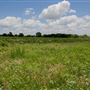 Blackland Prairie Park