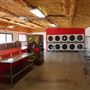 Dawg House Laundry
