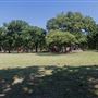 Howard Moore Park