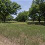 Kelley Park