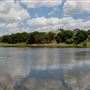 Sheri Capehart Nature Preserve