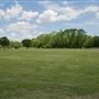 Treepoint Park