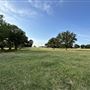 Fairlea Longhorn Ranch
