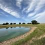 Fairlea Longhorn Ranch